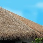 Alam Sari 人工茅葺き屋根 Alang Alang JAVAの写真