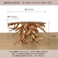 Alam Sari Teak Root Console Tableの写真