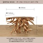 Alam Sari Teak Root Console Tableの写真