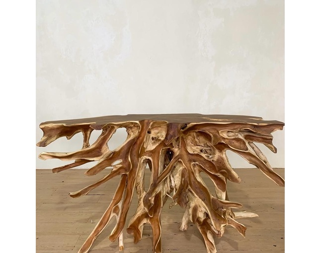 Alam Sari(アラム サリ) Teak Root Console Tableの写真
