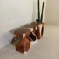 Alam Sari Twist Stool Monkey Pod Woodの写真