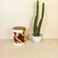 Alam Sari Round Stool Monkeypod Woodの写真