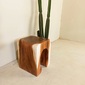 Alam Sari U Stool Monkeypod Woodの写真