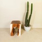 Alam Sari U Stool Monkeypod Woodの写真