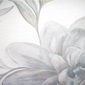 elegante JERSEY COVER【Blossom Gray】の写真
