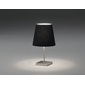 MAXRAY Cloth Shade Table Standの写真