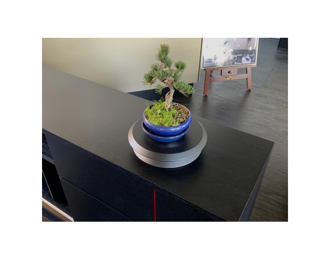 松永工房(マツナガコウボウ) ジュリアーノ・ボンサイベース01の写真