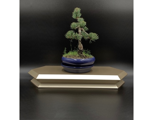 松永工房(マツナガコウボウ) ジュリアーノ・ボンサイベース03の写真