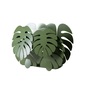 Arti e Mestieri MONSTERA マガジンラックの写真