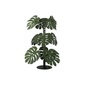 Arti e Mestieri MONSTERA プラントの写真