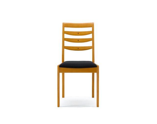 BOSCO DINING CHAIR　DC70701Sの写真