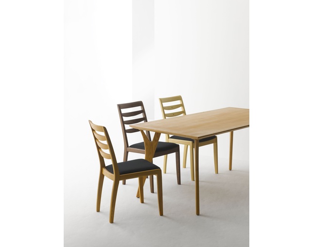 BOSCO DINING CHAIR　DC70701Sの写真