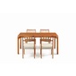 EDDA Dining Chair　DC30201S-EL0の写真