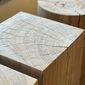 COMPLEX UNIVERSAL FURNITURE SUPPLY Tree On Tree / Aの写真