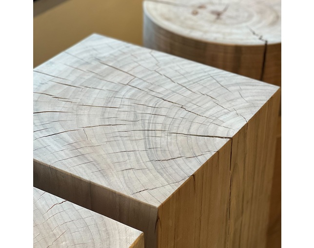 COMPLEX UNIVERSAL FURNITURE SUPPLY Tree On Tree / Aの写真