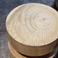 COMPLEX UNIVERSAL FURNITURE SUPPLY Tree On Tree / Type1の写真
