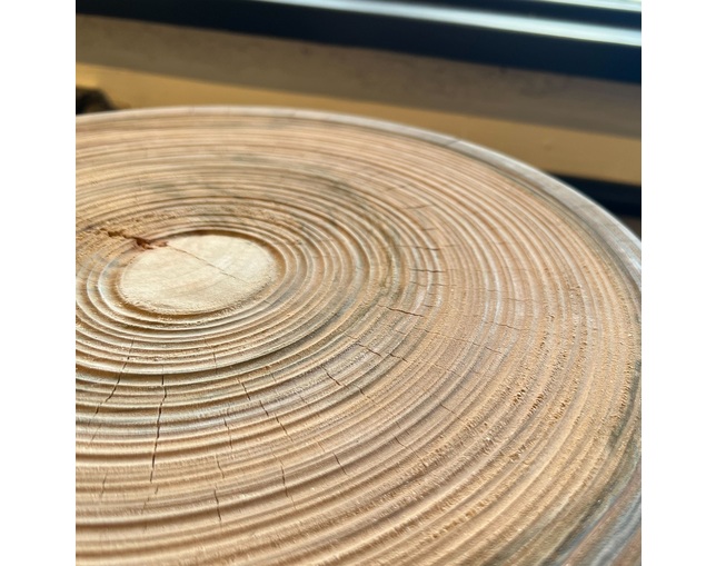 COMPLEX UNIVERSAL FURNITURE SUPPLY Tree On Tree / Type2の写真