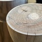 COMPLEX UNIVERSAL FURNITURE SUPPLY Tree On Tree / Type4の写真