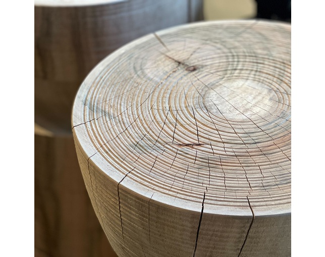 COMPLEX UNIVERSAL FURNITURE SUPPLY Tree On Tree / Type4の写真