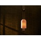 APPARATUS Lantern 1 Pendantの写真