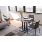 SENSO d VITA Sereno Chair Armの写真