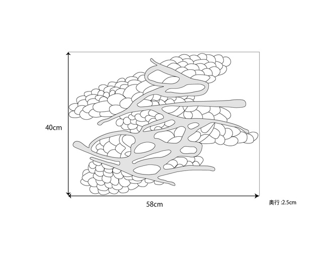 SENSO d VITA 羽の写真