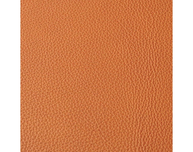 ELEGANCE NORDIC LIGHT SOFA 2Sの写真