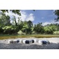 TONON river snakeの写真