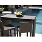 TUBAN Synthetic Rattan Counter Tableの写真