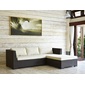 TUBAN Synthetic Rattan Daybed Sofa-Rの写真