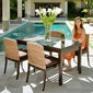 MITRA Water Hyacinth Dining Table with Glassの写真