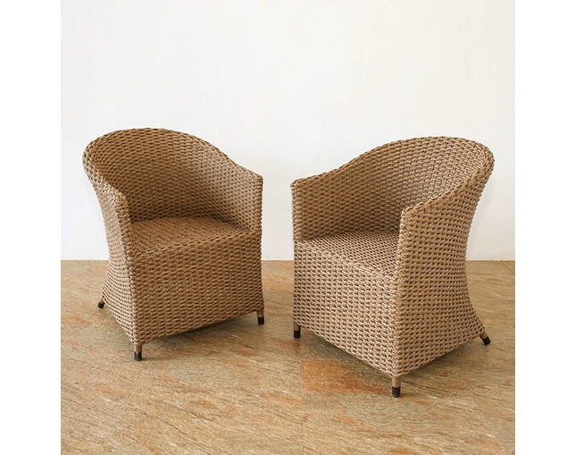 Valen Synthetic Hyacinth Arm Chairの写真