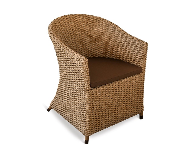 Valen Synthetic Hyacinth Arm Chairの写真