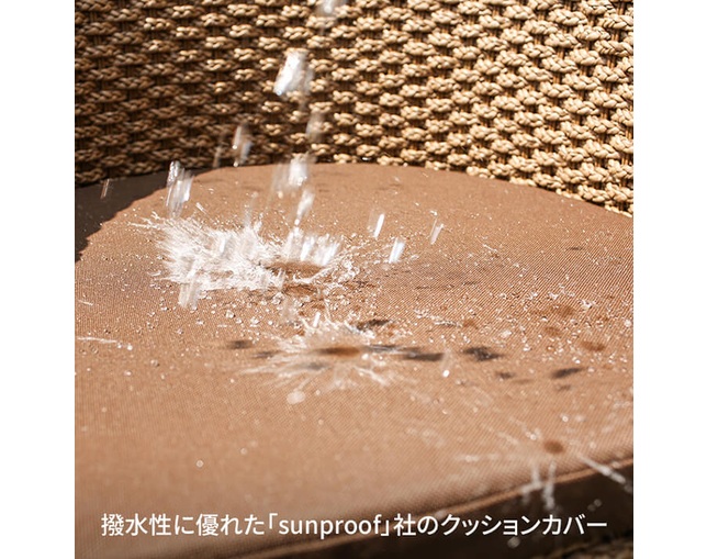 Valen Synthetic Hyacinth Arm Chairの写真