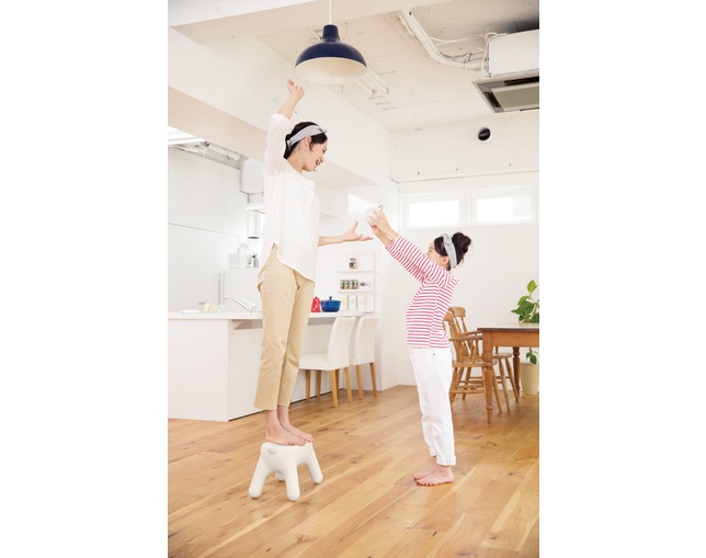 長谷川工業 STEP STOOL / Purillの写真