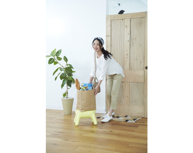 長谷川工業 STEP STOOL / Purillの写真