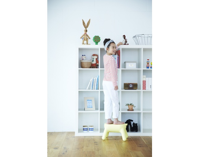 長谷川工業 STEP STOOL / Purillの写真