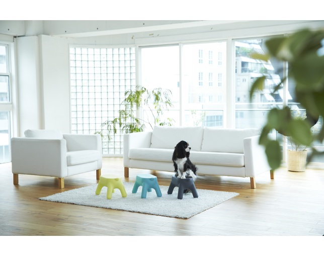長谷川工業 STEP STOOL / Purillの写真