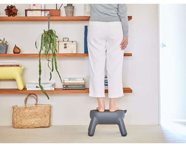 長谷川工業 STEP STOOL / Purillの写真