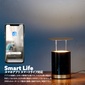 gram eight MANDALAY LEDアッパーライトの写真