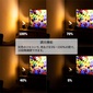 gram eight MANDALAY LEDアッパーライトの写真