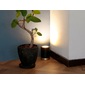 gram eight MANDALAY LEDアッパーライトの写真