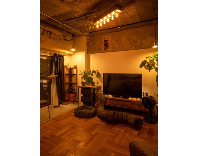 gram eight BURMILA 6灯シーリングライトの写真