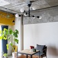 gram eight DEVON 6灯シーリングライト　の写真