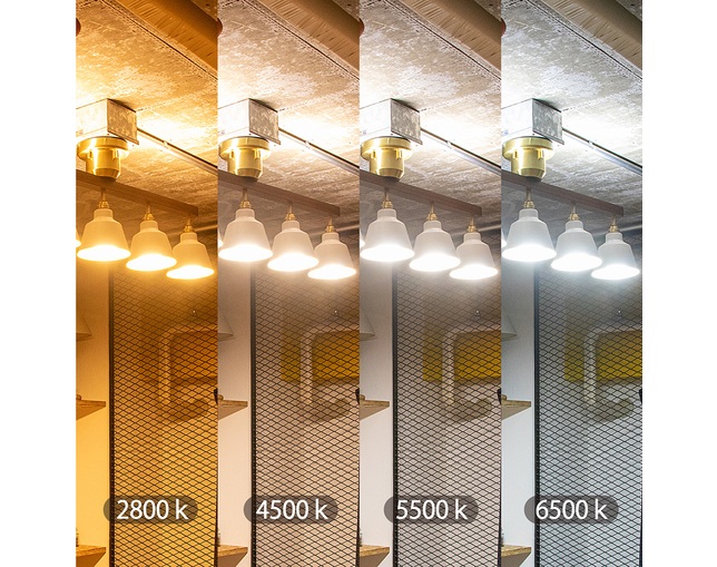 gram eight TENNESSEE KORAT 5灯シーリングライト【リモコン電球セット】の写真