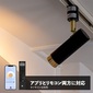 gram eight NOSH 1灯スポットライトの写真