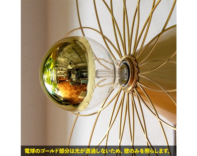 gram eight MAU LYNX　1灯ウォールライト【LED電球セット】の写真