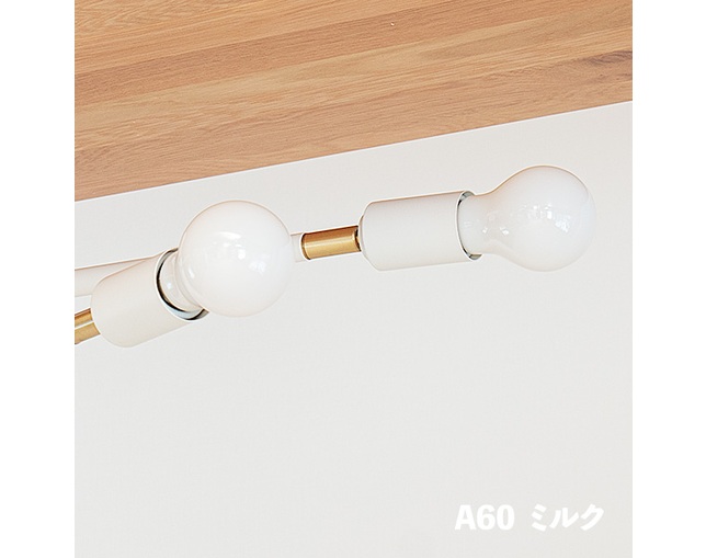 gram eight LED電球 E26　A60の写真