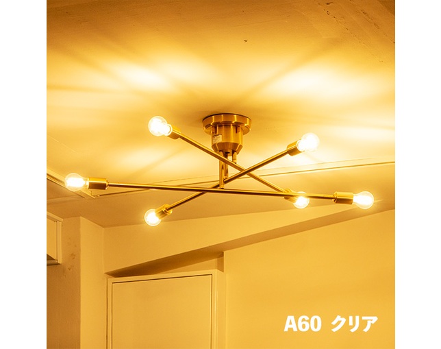 gram eight LED電球 E26　A60の写真