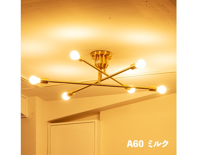 gram eight LED電球 E26　A60の写真